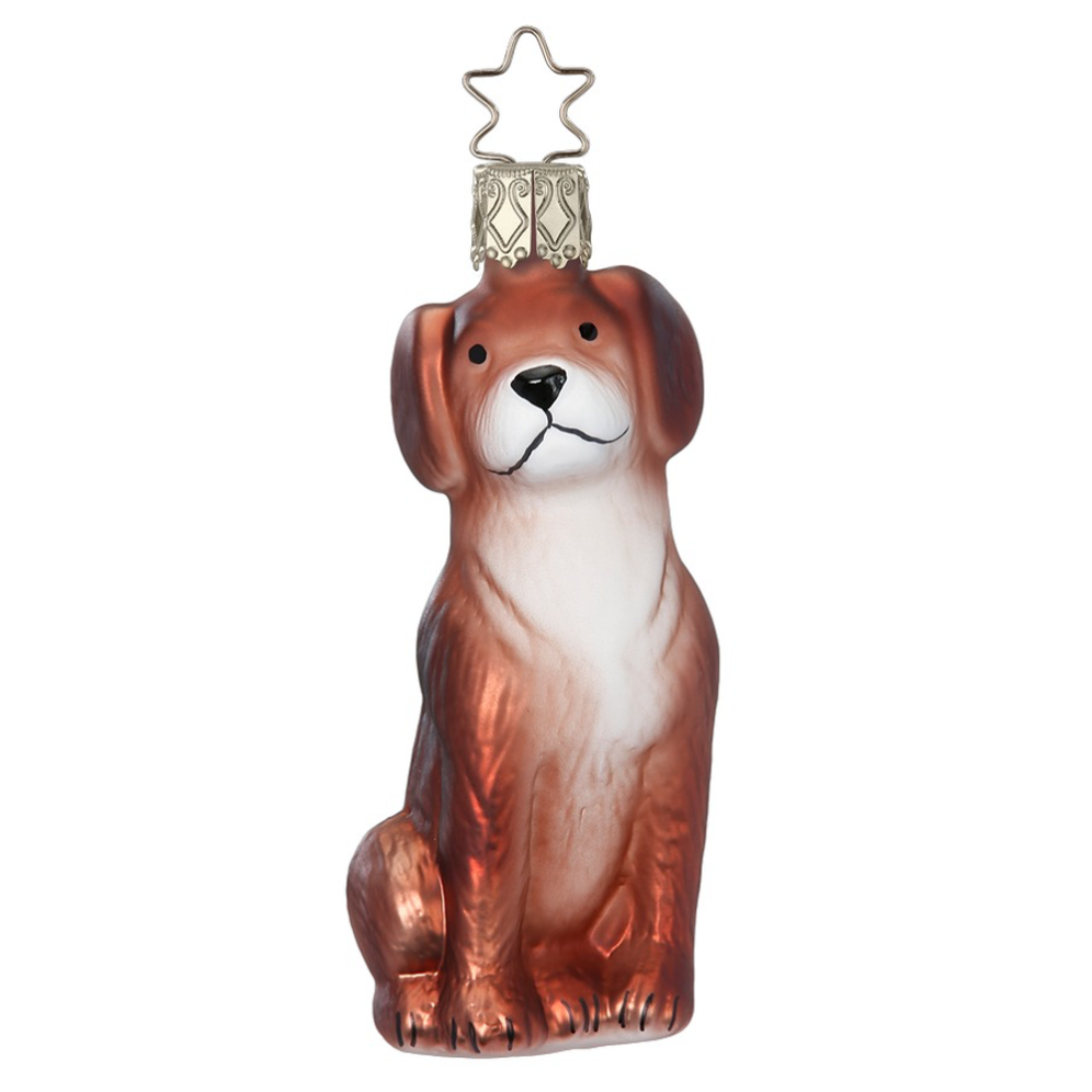 Inge Glas kerstornament - Beagle